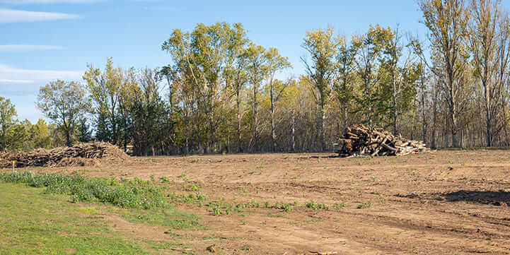 Expert Land Clearing Services in Dublin VA